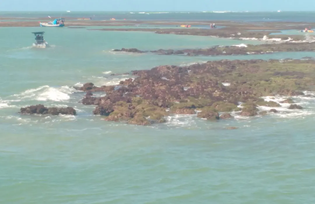 Pousada Dos Girassois-1